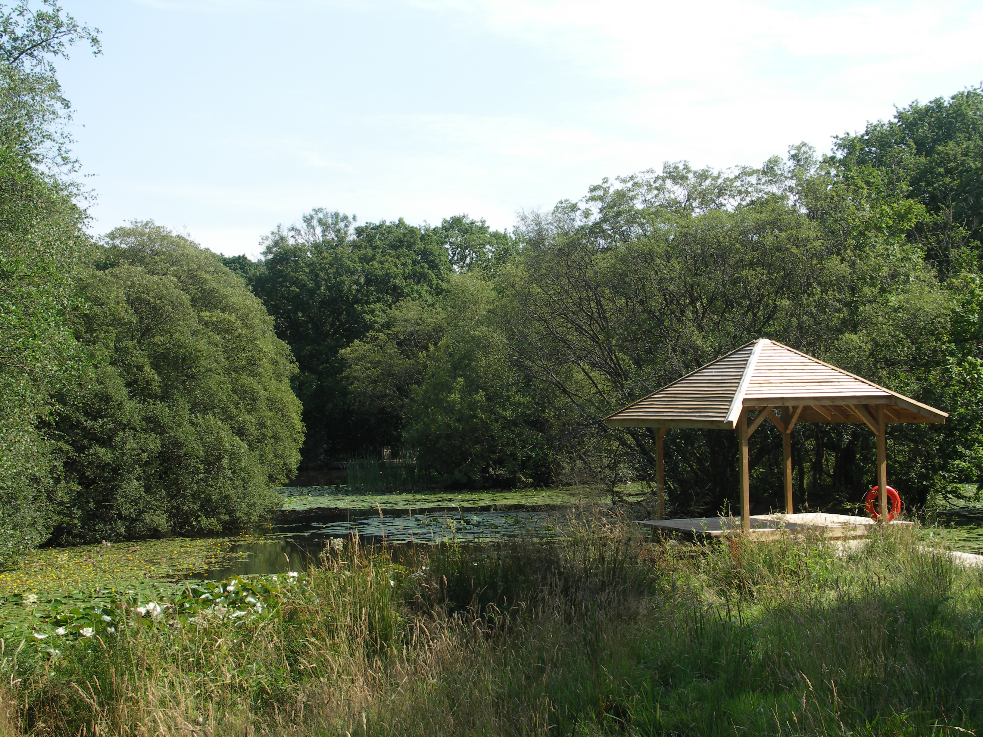 Wellness and team building in Gower